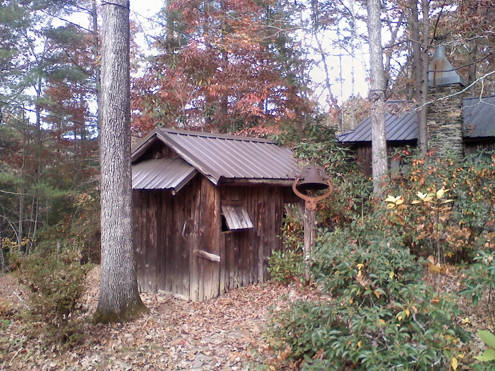 Small metal roof on a rough sawn shed in the woods in Winsted